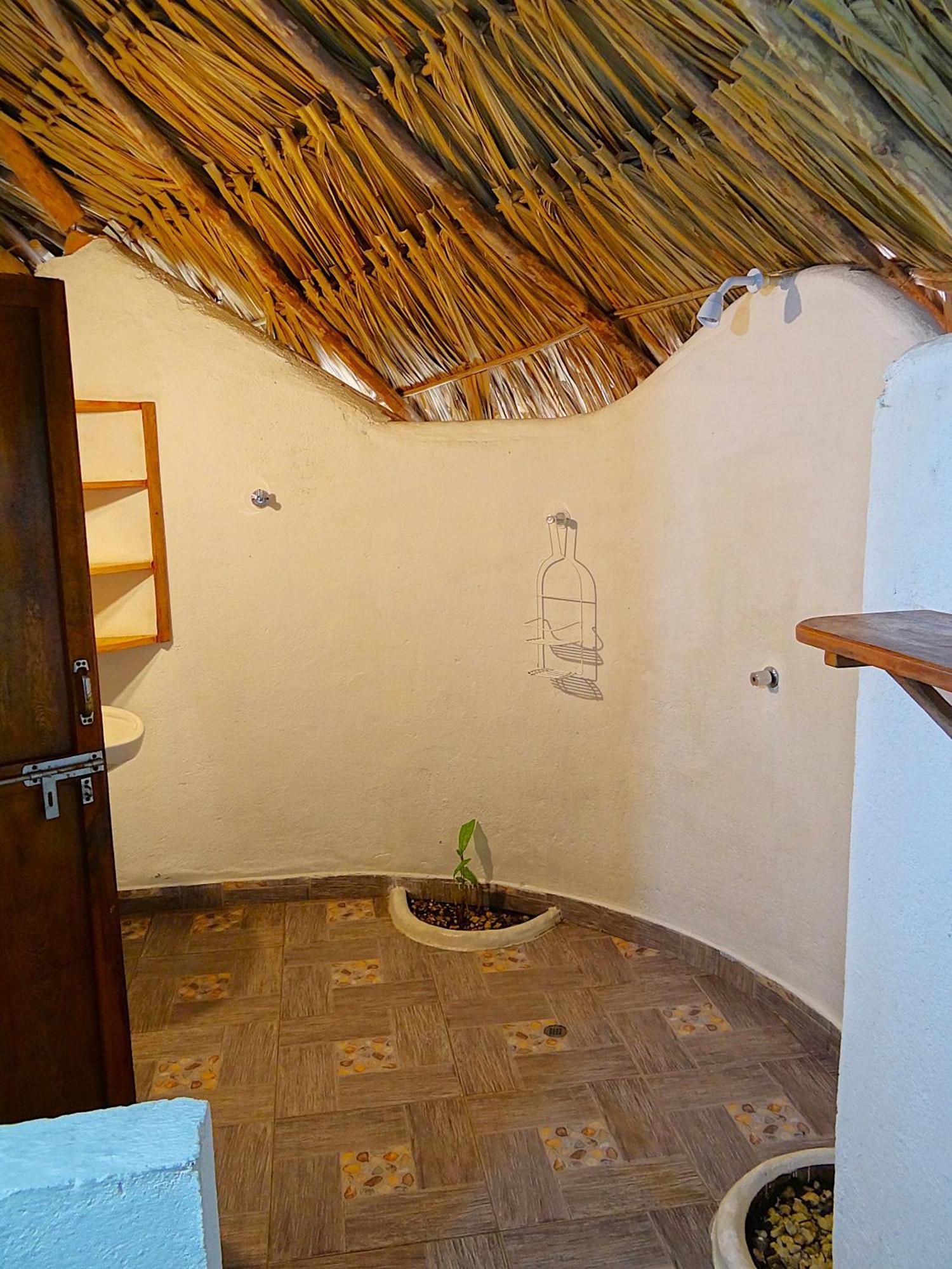 Prima Luna Palomino Extérieur photo
